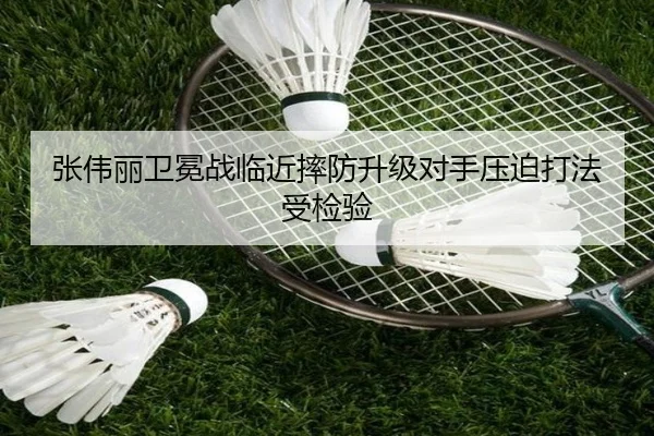 张伟丽卫冕战临近摔防升级对手压迫打法受检验 - kaiyun